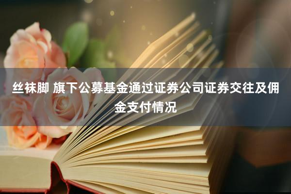 丝袜脚 旗下公募基金通过证券公司证券交往及佣金支付情况