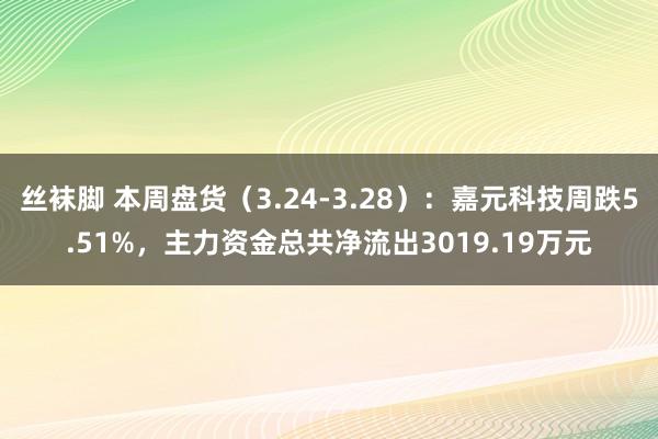 丝袜脚 本周盘货（3.24-3.28）：嘉元科技周跌5.51%，主力资金总共净流出3019.19万元